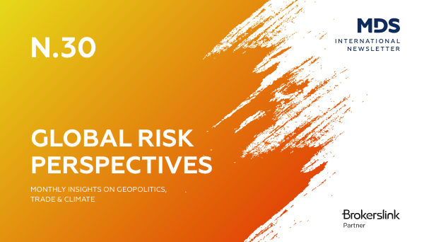 MDS International Newsletter N.30 | Global Risk Perspectives